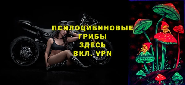 прущие грибы Алзамай