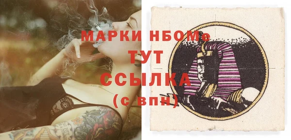 прущие грибы Алзамай