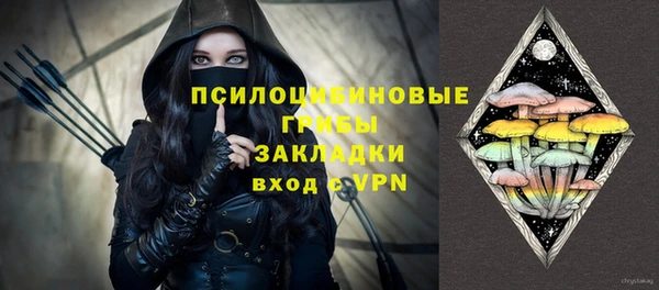 прущие грибы Алзамай
